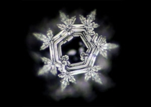 110_divine_presence_20181003122902