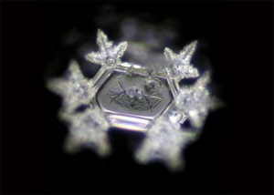 111_divine_presence_20181003122901