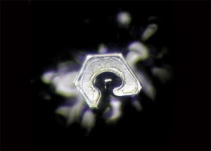 112_divine_presence_20181003122902