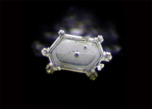 117_divine_presence_20181003122851