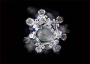 118_divine_presence_20181003122851