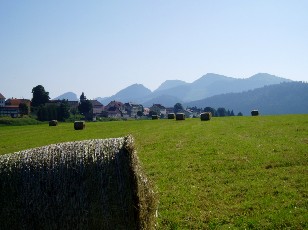 L'Auberson et dans le fond... le Cochet 1483 m, les Petites Roches 1583 m, le Chasseron 1607 m, le Mont de la Maya 1465 m et les Roches Blanches 1470 m, bonne marche !