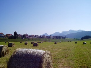 L'Auberson et dans le fond... le Cochet 1483 m, les Petites Roches 1583 m, le Chasseron 1607 m, le Mont de la Maya 1465 m et les Roches Blanches 1470 m, bonne marche !