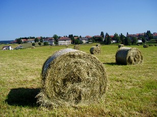 L'Auberson en juillet