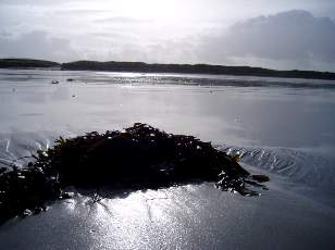 Magie de la Bretagne