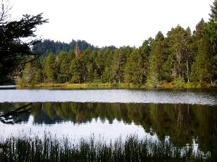 Etang de la Grure