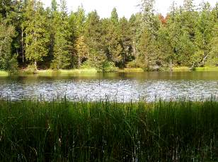 Etang de la Grure