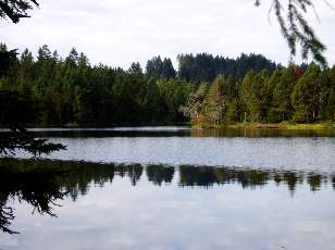 Etang de la Grure