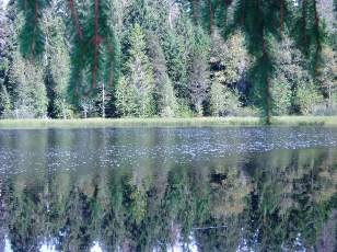 Etang de la Grure