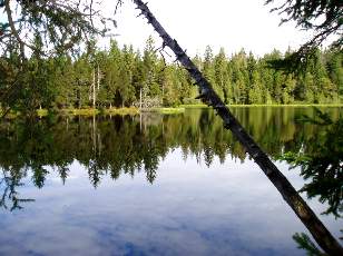 Etang de la Grure