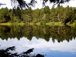 Etang de la Grure