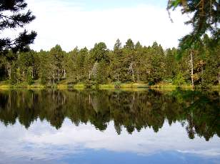 Etang de la Grure