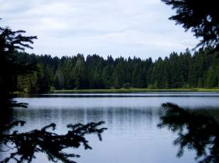 Etang de la Grure