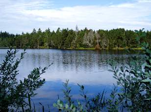 Etang de la Grure