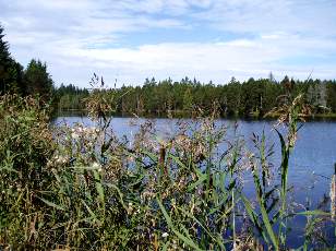 Etang de la Grure