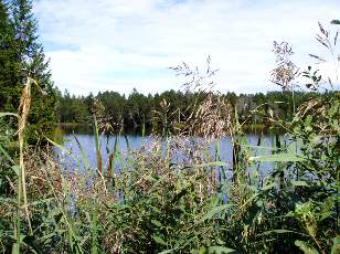 Etang de la Grure