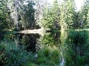 Etang de la Grure