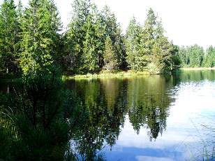 Etang de la Grure