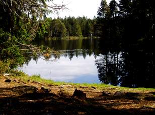 Etang de la Grure