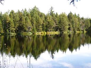 Etang de la Grure