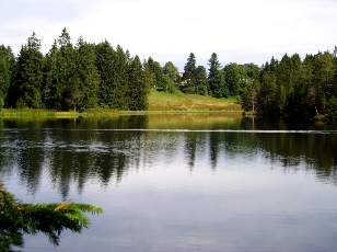 Etang de la Grure