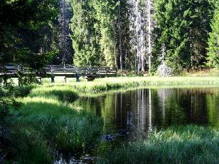 Etang de la Grure