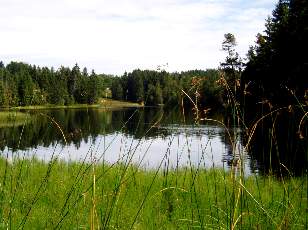 Etang de la Grure