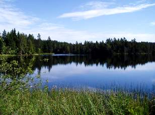 Etang de la Grure