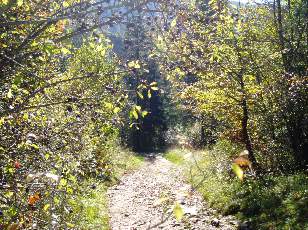 Sentier d'accs au Saut Girard