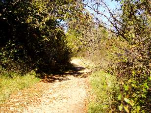 Sentier d'accs au Saut Girard