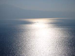 Vigne du Lavaux en novembre avec vue sur le lac Lman