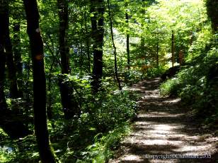 Les Gorges de la Loue