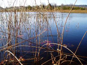 Lac et tourbires de Malpas, les prs Partot et le bief Belin