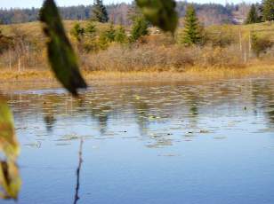 Lac et tourbires de Malpas, les prs Partot et le bief Belin