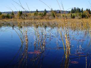 Lac et tourbires de Malpas, les prs Partot et le bief Belin