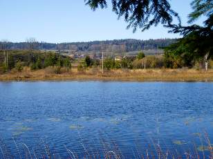 Lac et tourbires de Malpas, les prs Partot et le bief Belin