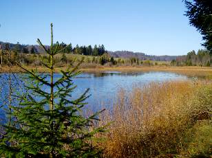 Lac et tourbires de Malpas, les prs Partot et le bief Belin