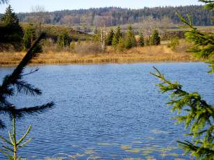 Lac et tourbires de Malpas, les prs Partot et le bief Belin