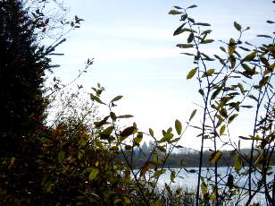 Lac et tourbires de Malpas, les prs Partot et le bief Belin