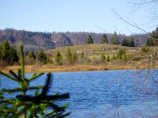 Lac et tourbires de Malpas, les prs Partot et le bief Belin