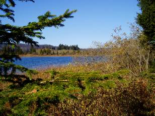 Lac et tourbires de Malpas, les prs Partot et le bief Belin