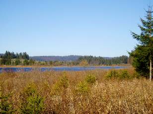 Lac et tourbires de Malpas, les prs Partot et le bief Belin