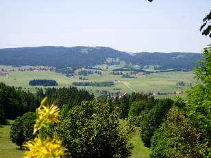 Prairies fleuries