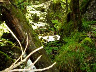 Saut de l'Eau, Sainte-Croix