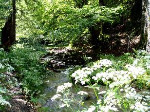 Saut de l'Eau, Sainte-Croix