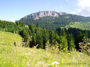 Les Aiguilles de Baulmes