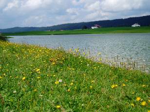 Le lac des Taillres