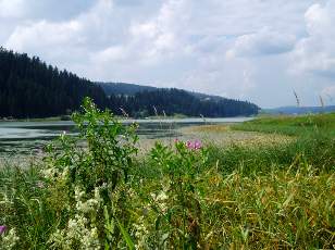 Le lac des Taillres