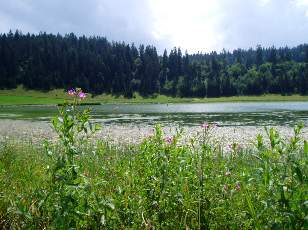 Le lac des Taillres