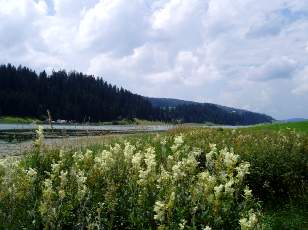 Le lac des Taillres